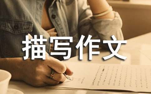 篮球训练计划和训练日程怎么写_0